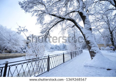 Frozen park and tree