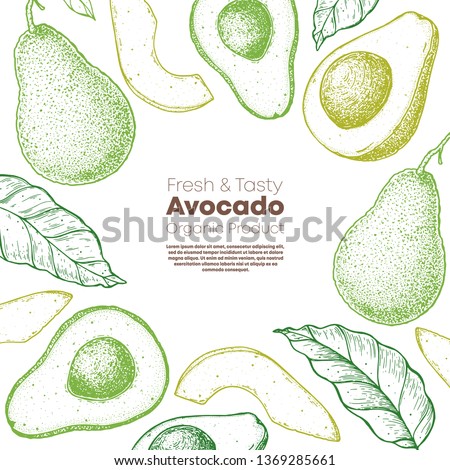 Avocado hand drawn illustration. Avocado frame. Sketch vector illustration. Can used for packaging design. Avocado food. Royalty-Free Stock Photo #1369285661