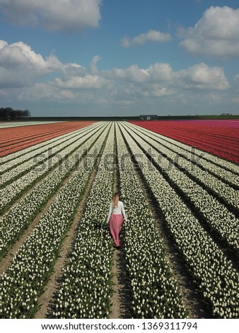 Drone shot of a girl in the flowerfields in the Netherlands
