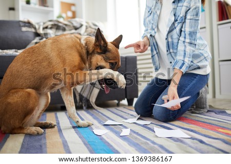 Portrait of unrecognizable woman telling off dog for making mess at home, copy space Royalty-Free Stock Photo #1369386167