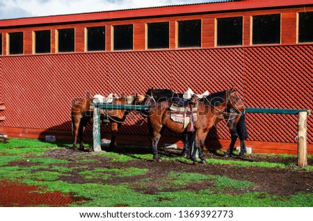 Three Saddled Horse tied to post ready to ride with red building in background.