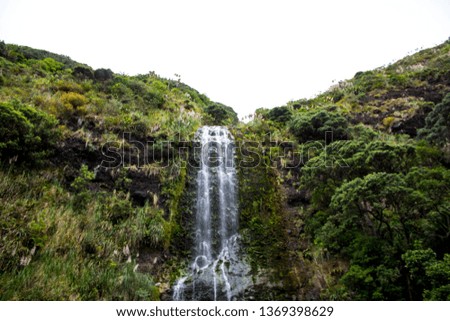 A waterfall near Piha beach, Auckland New Zealand.