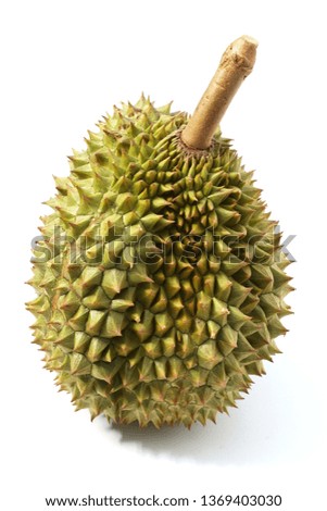 Still life photography of Durian the king of tropical fruits on white background, shooting in studio. Popular dessert in Thailand served with sticky rice and fresh coconut milk topping.