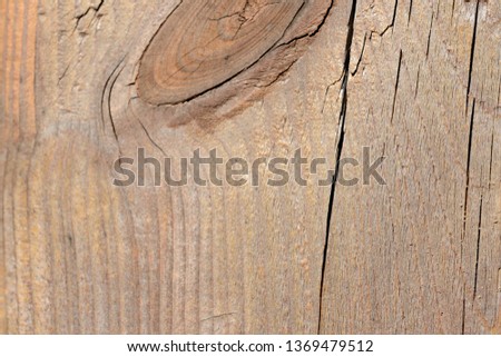Texture of a wooden surface lit by the sun. Wooden background