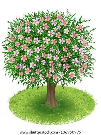 Spring Tree with blossoms in green field, illustration