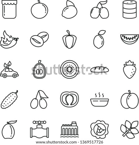 thin line vector icon set - loaf vector, hot porridge, cucumber, coffee beans, jam, apple, squash, raspberry, cornels, tasty, loquat, water melon slice, tangerine, half, yellow lemon, of kiwi, valve