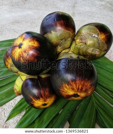 Fresh Asian Palmyra palm fruits.
