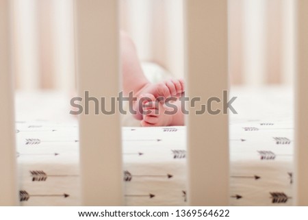 Tiny baby feet Royalty-Free Stock Photo #1369564622