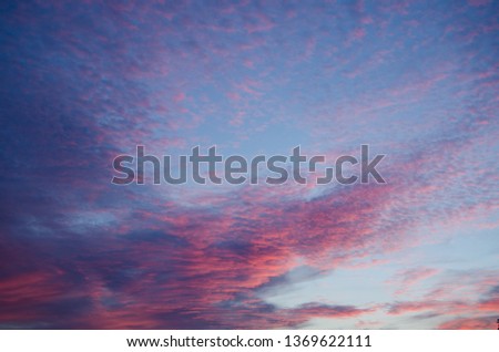 Summer sky at sunset bright colors pink, blue, purple