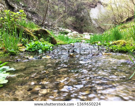 Mountain stream in the morning with green grass