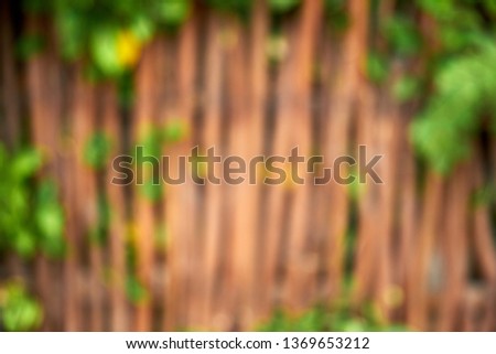 Green Ivy Creeper and Wooden Fence Blurry Photo. Construct from Posts that are Connect by Boards and Wire. Decorative Enhance the Appearance of a Property, Garden or Other Landscaping