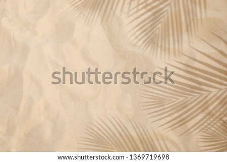 Selective focus of summer and holiday  backgrounds concepts with shadow of coconut leaf on clean sand beach.copy space
