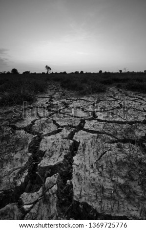 Dry cracked desert. The global shortage of water on the planet.  Global warming and greenhouse  effect concept. Fine art black and white photography.  
