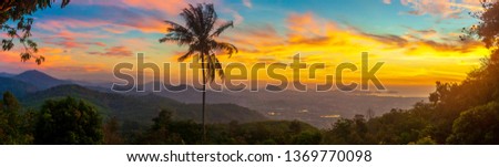 Panoramic view to coconut palm tree at sunrise. Tropical landscape background