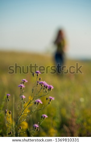 Blurred silhouette of a woman on a flowered meadow. Spring season.
