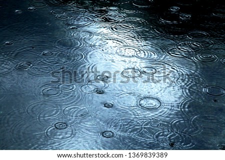 Raindrops falling on a lake surface Royalty-Free Stock Photo #1369839389