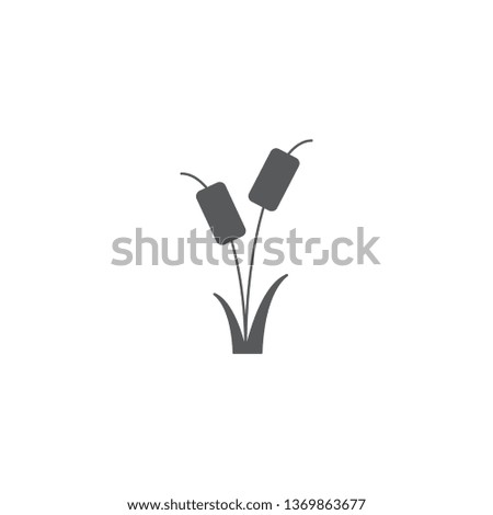 Reeds plant vector icon isolated on white background