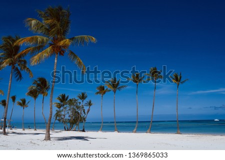 Caribbean islands palm trees white sand blue sky
