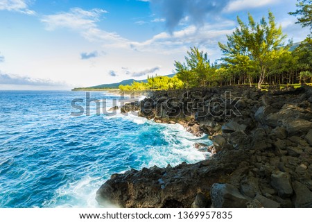 Nature and volcanic rocks in the south coast of Reunion Island Royalty-Free Stock Photo #1369957835