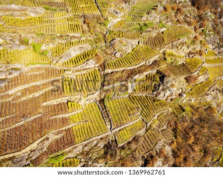 Valtellina (IT) - Aerial view of the vineyards in the Grumello area - Autumn