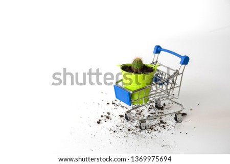 mini cactus with green bucket in blue shopping cart on white background.
