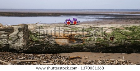 One toy car on the log of the tree lying on the seashore