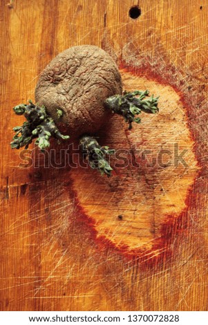 A flabby, wrinkled, ugly potato with green sprouts lies on an old, scratched board with a bright texture.
