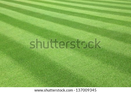 Green  golf  Fairway textured pattern