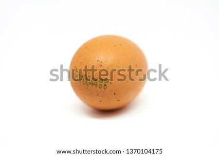 Egg on white background.
