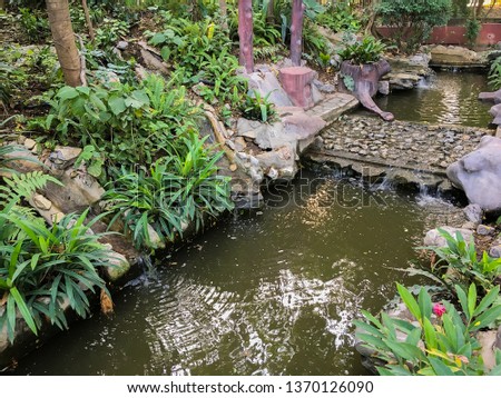 A picture of little lake and waterfall in the garden with many kinds of trees