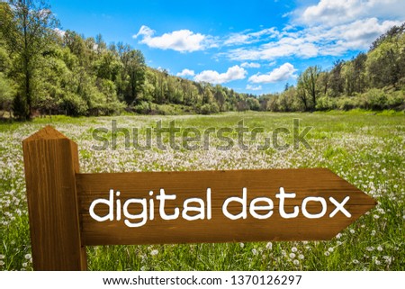 Meadow with a Sign saying Digital Detox