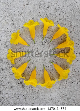 Yellow flowers in circle pattern