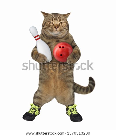 The cat player in sports shoes holds a red bowling ball and a pin. White background. Isolated.