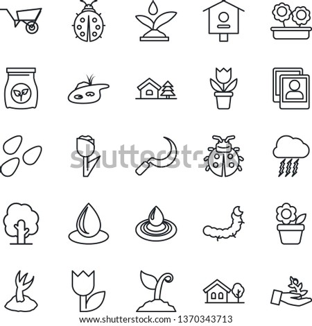 Thin Line Icon Set - storm cloud vector, flower in pot, tree, wheelbarrow, sproute, lady bug, water drop, sickle, seeds, caterpillar, bird house, fertilizer, tulip, photo gallery, with, pond, palm