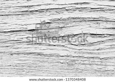 Texture of peeling paint. Abstract background for design. Black and white.