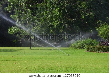 Garden Lawn Water Sprinkler. Royalty-Free Stock Photo #137035010