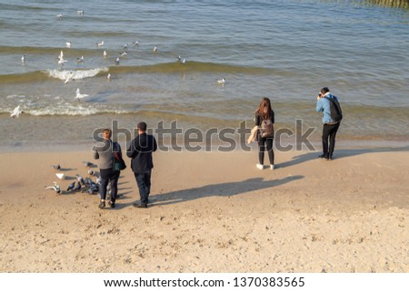 a group of people taking pictures of birds on the sea beach