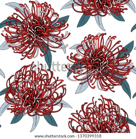 Floral Seamless pattern. Red african Protea flowers and leaves. Textile composition, hand drawn style print. Vector illustration.