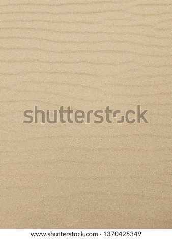 Sand texture/ background.