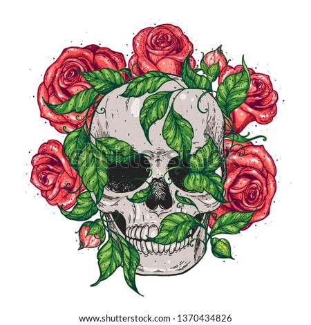 Skull and roses flowers hand drawn illustration. Tattoo vintage print. Skull, ivy and red roses.