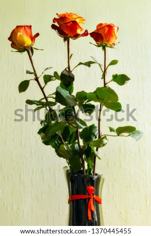 Three tea roses in a vase against a pale green wall.