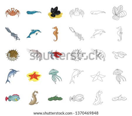A variety of marine animals cartoon,outline icons in set collection for design. Fish and shellfish vector symbol stock web illustration.