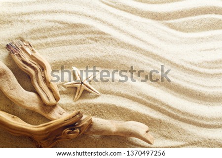 Starfish and seashells on sand. Sea summer vacation background with space for the text