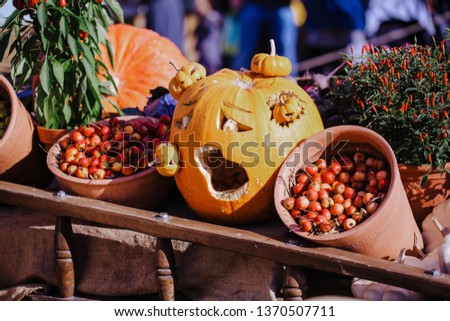 Creepy carved pumpkin face and vegetables display on the harvest festival. Wild mini apples in busket. Concept of Halloween, autumn symbol, pumpkins for decoration, unusual vegetable competition.