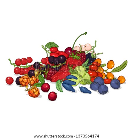 Vector Set of Color Cartoon Berries in Pile 