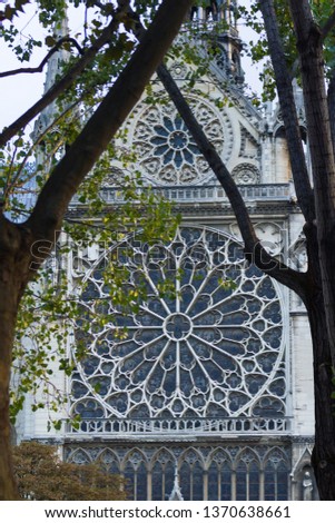 Pattern at Notre Dame de Paris cathedral, Paris, France. Gothic architecture in winter