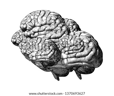 Monochrome black engraving drawing of many human brains overlap illustration on white background