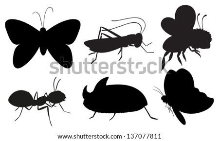 Illustration of the black colored insects on a white background