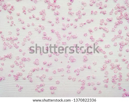 Pink flowers pattern on white wooden background. Beautiful traditional japanese background of little pink flowers & white wood tender texture. Small may pink flowers on white table wedding background