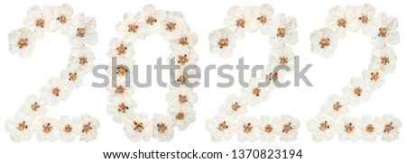Inscription 2022, from natural white flowers of apricot tree, isolated on white background